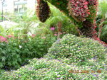 DSCN0362