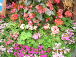 DSCN0363
