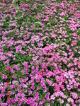 DSCN0368