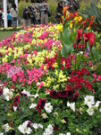 DSCN0372