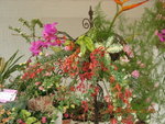 DSCN0381