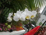DSCN0458