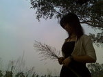 sunself