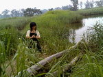 sweet