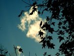 20080529_3435ba05a891663cb81dHZSZVUmAcLtu