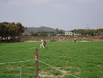 DSC00683