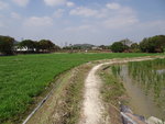 DSC00686