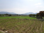 DSC00704