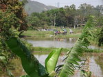 DSC00705