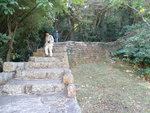DSC02239