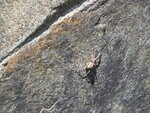 P4110249
