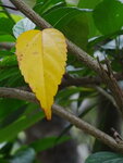 DSC04016