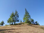 DSC00217