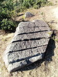 DSC00250