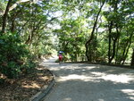 DSC00262