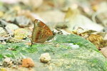 SK050193