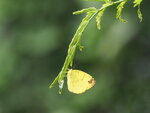 PB120438