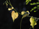 PB190769