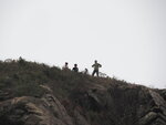 SKM50976