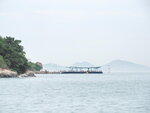 SKM60181