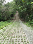 SKM60284