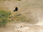 PA270498