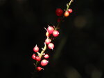 PC010342