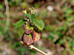 P2090916