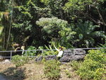 P2090940