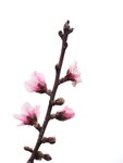 P2230101
