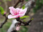 P2230226
