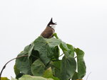 P2230245