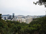 P3160154