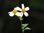 P3160160