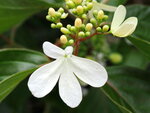 P3160185