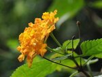 P3160203