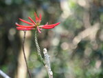 P3230392