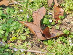 P3230396