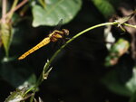 P3230404