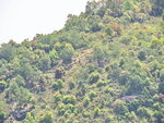 P3230444