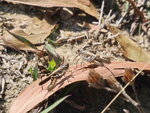 P3230451