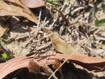 P3230453