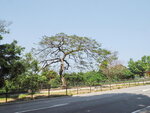 P3230508