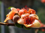 P3230516