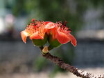 P3230519