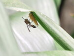 P4060197