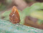 P4060336
