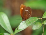 P4060371