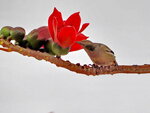 P3280596