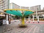 P4270558